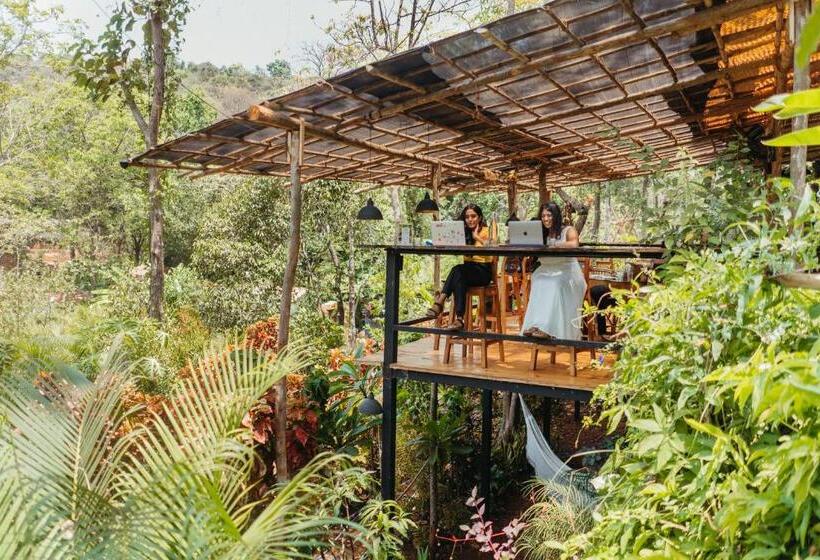 Bed and Breakfast Mojigao   Eco Resort