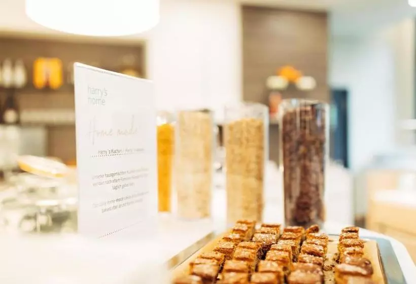 Harry S Home Bischofshofen Hotel & Apartments