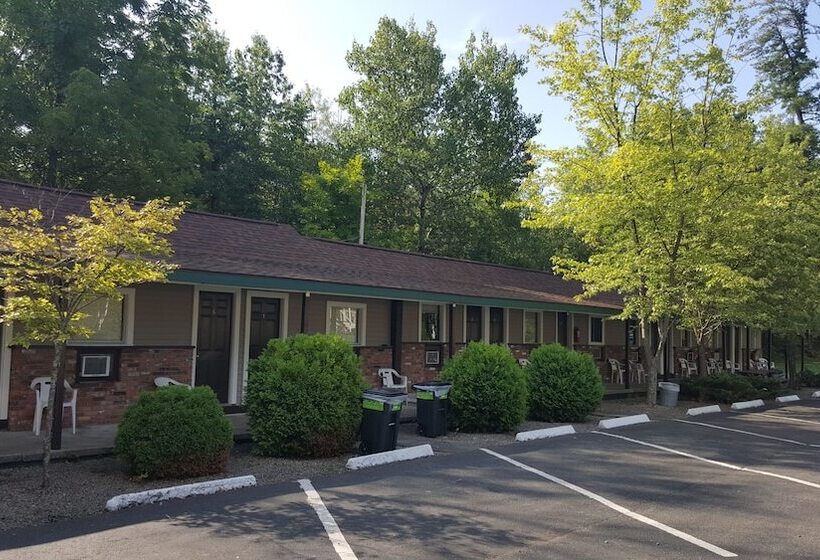 Adirondack Oasis Motel
