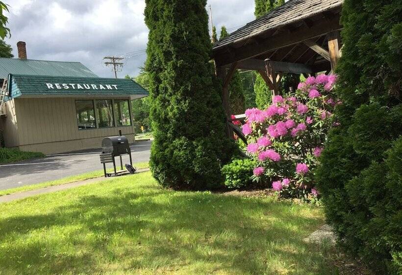 Adirondack Oasis Motel
