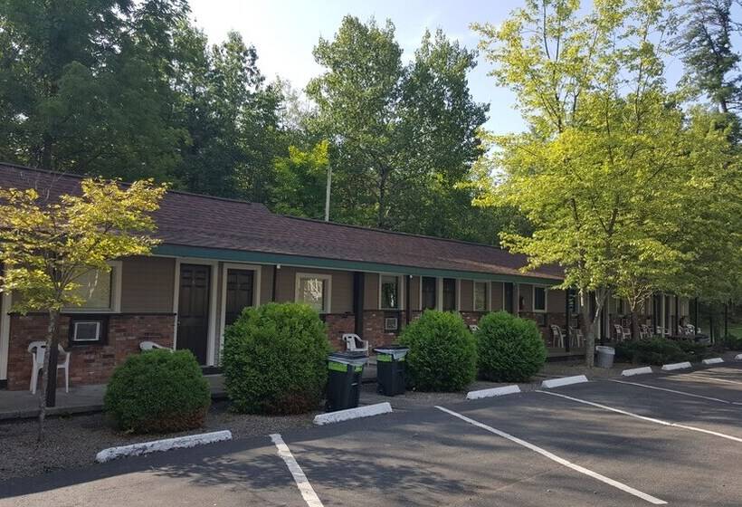 Adirondack Oasis Motel