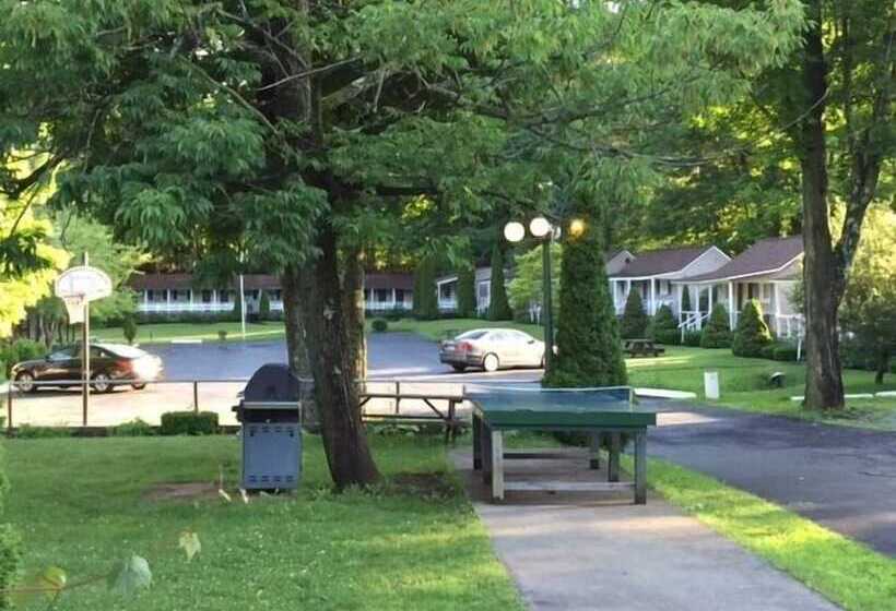 Adirondack Oasis Motel
