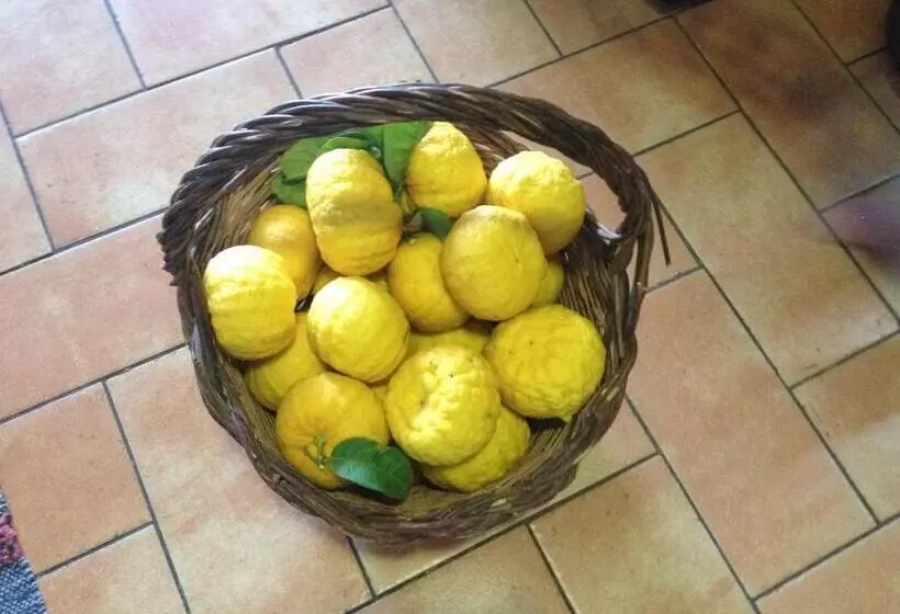 Aamiaismajoitus (B&B) Locanda Farorientale