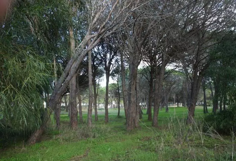 Aamiaismajoitus (B&B) Locanda Farorientale