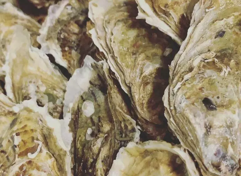 Hotelli Tetto Delle Marche   Ristorante Dei Conti