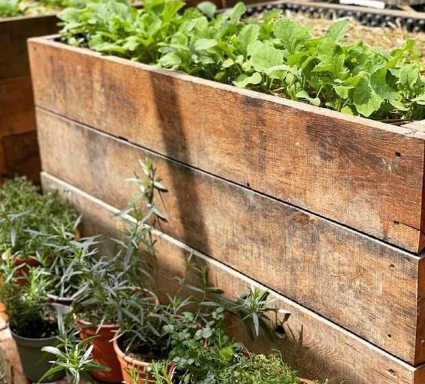 István Parkhotel és Gasztrofarm