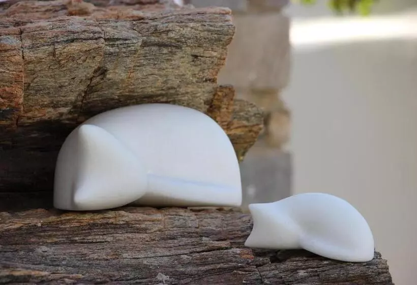 ホテル Anthos Apartments