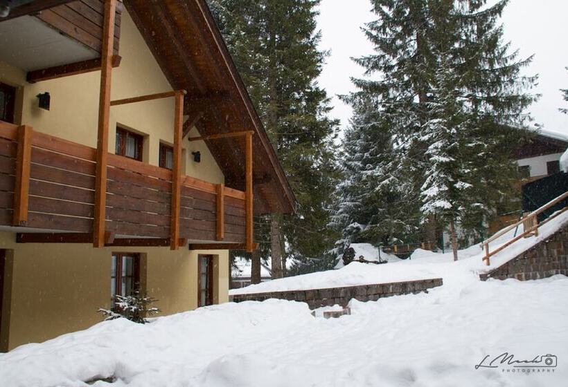 호텔 Nevesole Folgarida Resort Apart