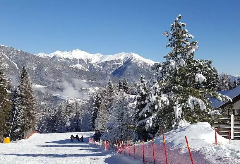 酒店 Nevesole Folgarida Resort Apart