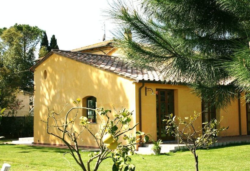 فندق Pisa Holidays