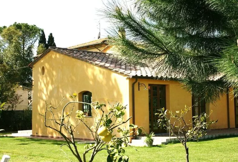 Отель Pisa Holidays