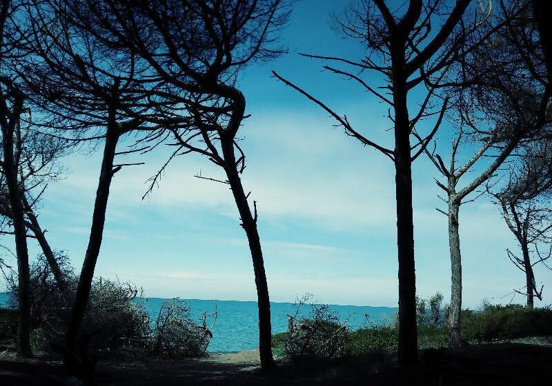 호텔 Tornese   Rooftop Sea View