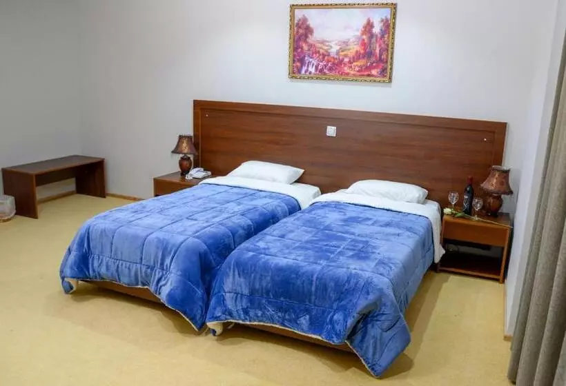 Отель Arta Palace