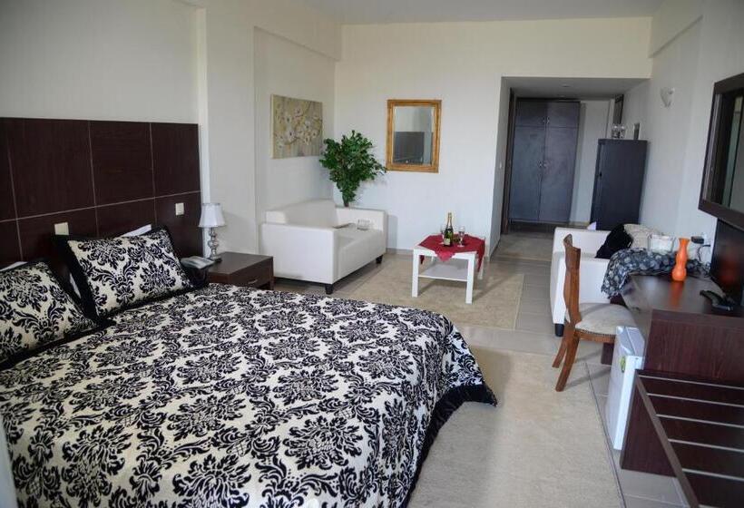 فندق Arta Palace