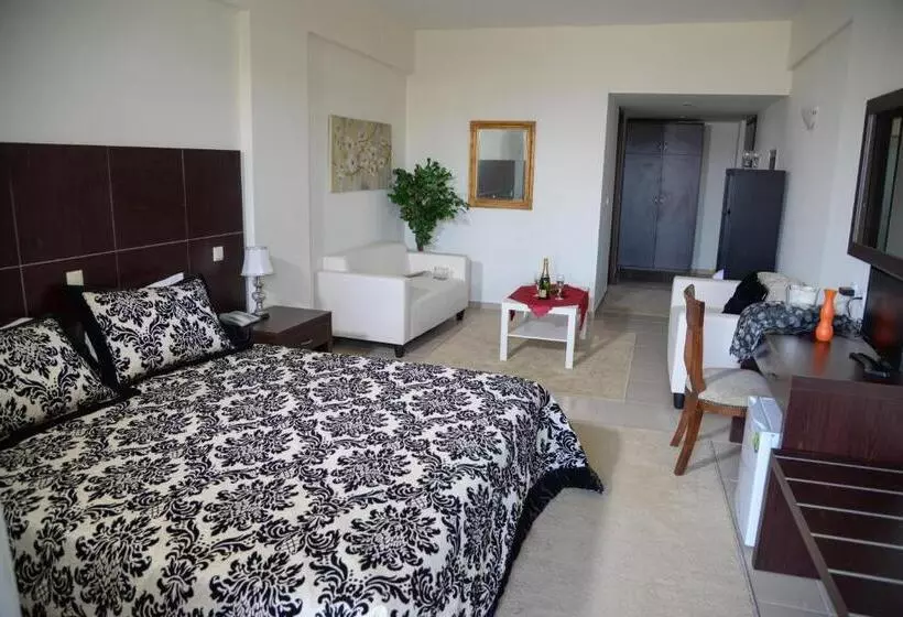 Отель Arta Palace