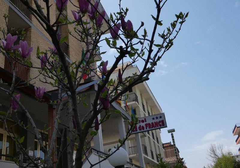 בית מלון כפרי Ile De France Cesenatico