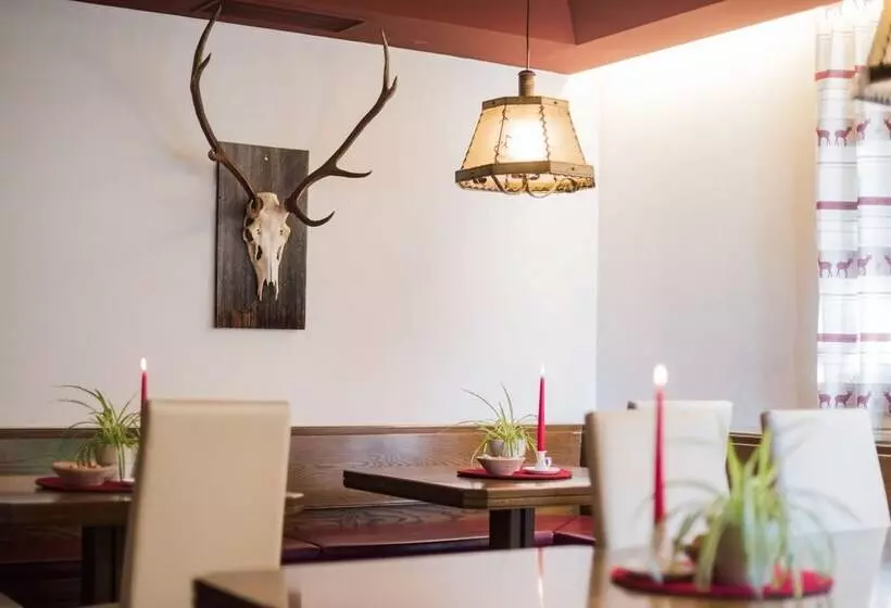 Отель Mühlenerhof