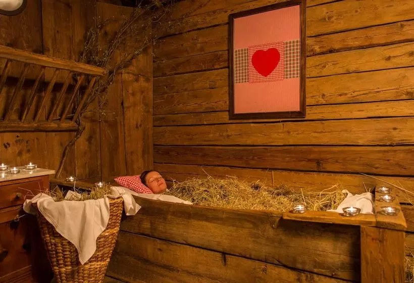 Отель Mühlenerhof