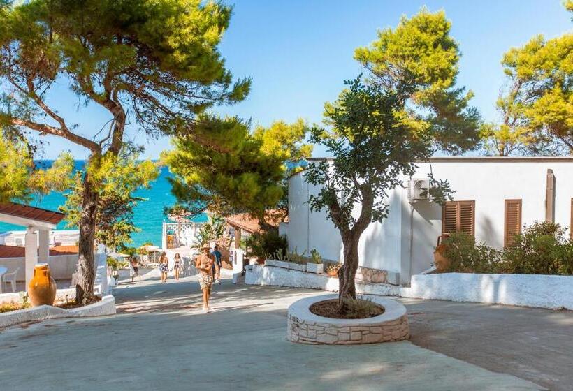 Отель Sfinal Residence