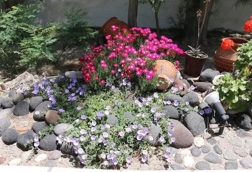 Spiros & Hiroko Hotel Adults Only