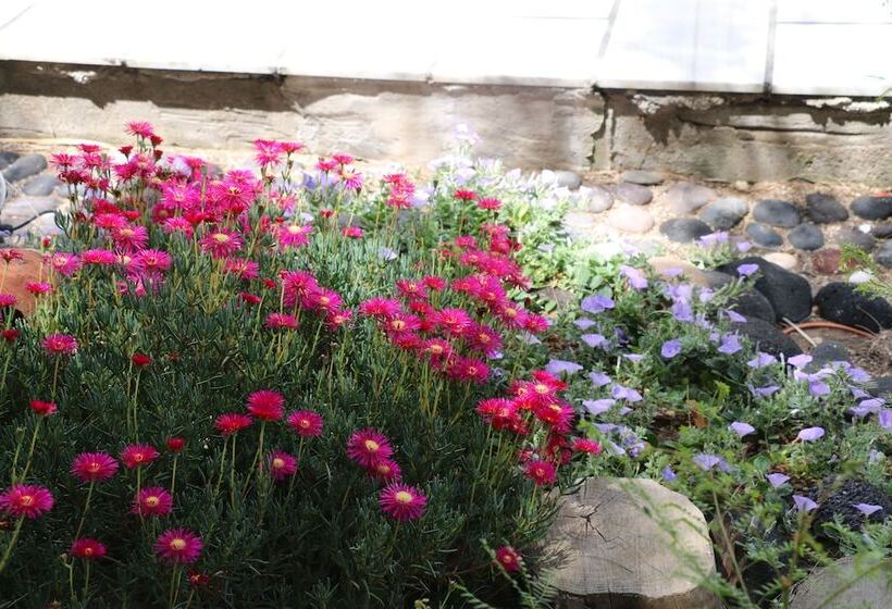 Spiros & Hiroko Hotel   Adults Only