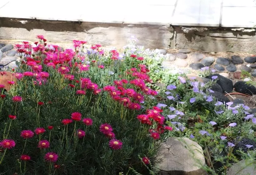 Spiros & Hiroko Hotel Adults Only