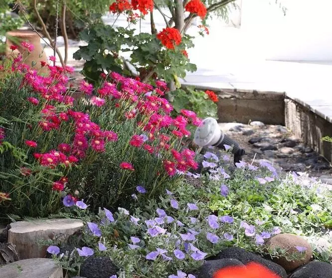 Spiros & Hiroko Hotel Adults Only