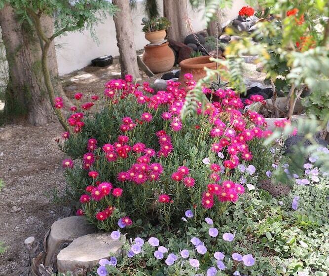 Spiros & Hiroko Hotel   Adults Only