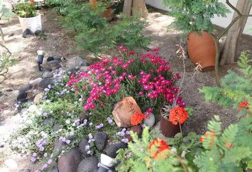 Spiros & Hiroko Hotel Adults Only