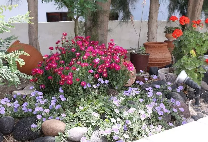 Spiros & Hiroko Hotel Adults Only