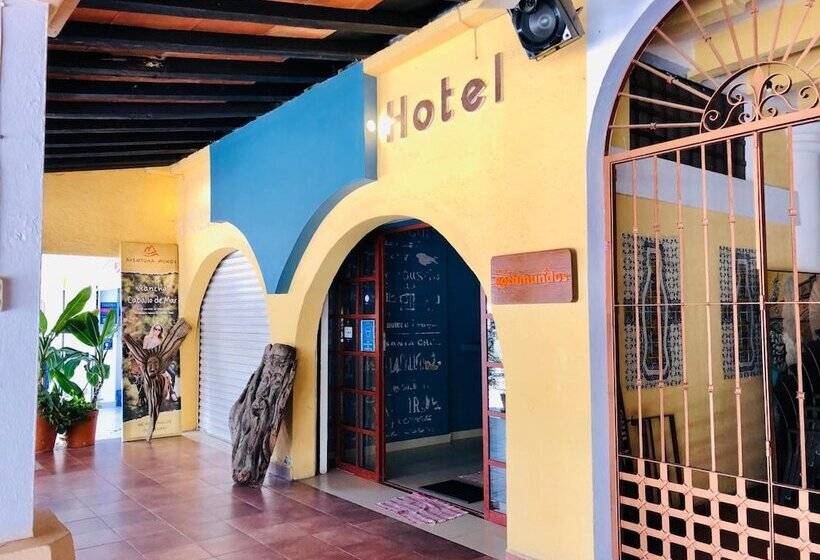 Otel Playa Del Parque By Rotamundos