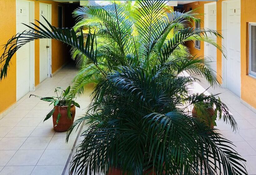 Otel Playa Del Parque By Rotamundos