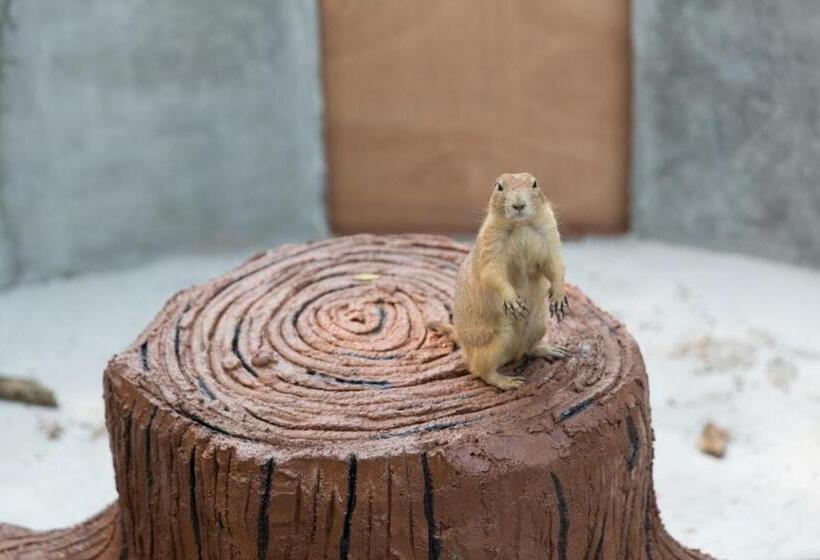 酒店 Amverton Cove Golf & Island Resort