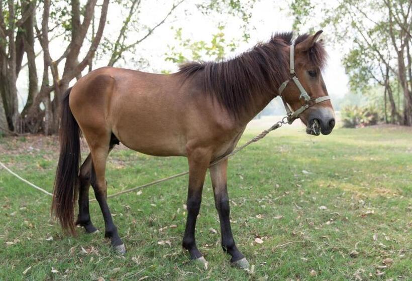 酒店 Amverton Cove Golf & Island Resort