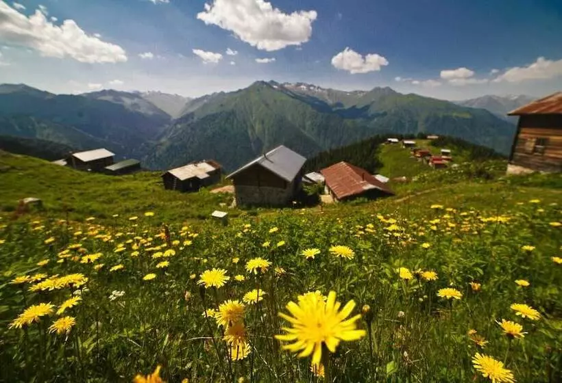 مسافرخانه Pokut Orion