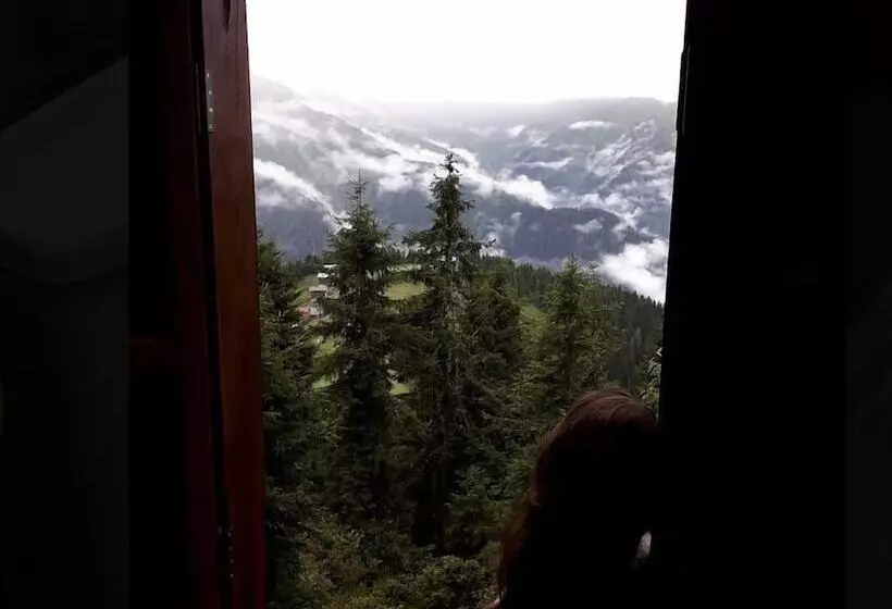 مسافرخانه Pokut Orion