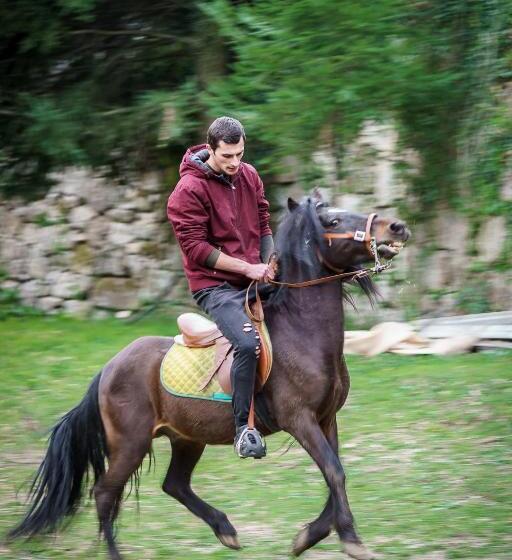 פנסיון Residência Iris