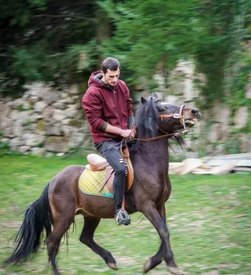 Majatalo Residência Iris