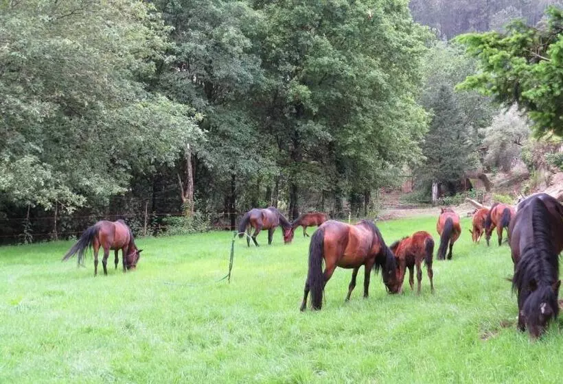 Majatalo Residência Iris