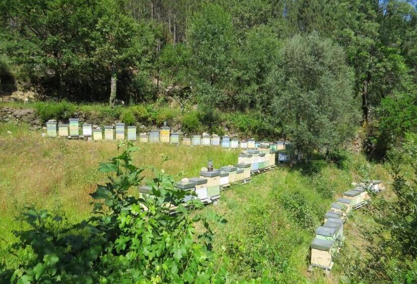 פנסיון Residência Iris