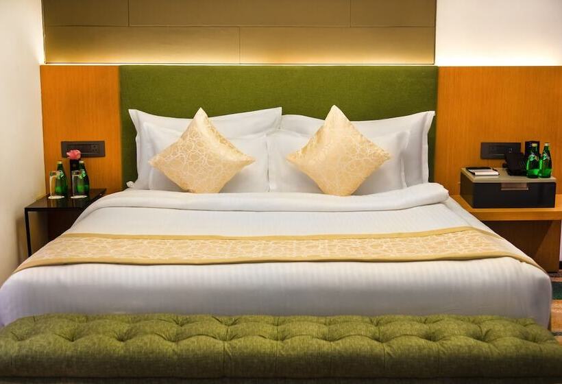 בית מלון כפרי The Regnant