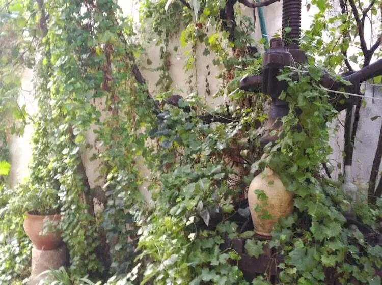 Majatalo El Sueño De Lucrecia