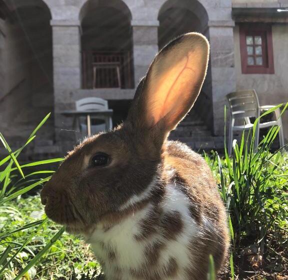 إقامة Le Pavillon Des Officiers