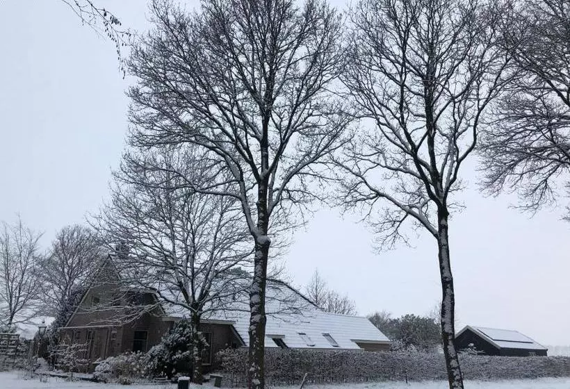 Bed & Breakfast Ter Borg