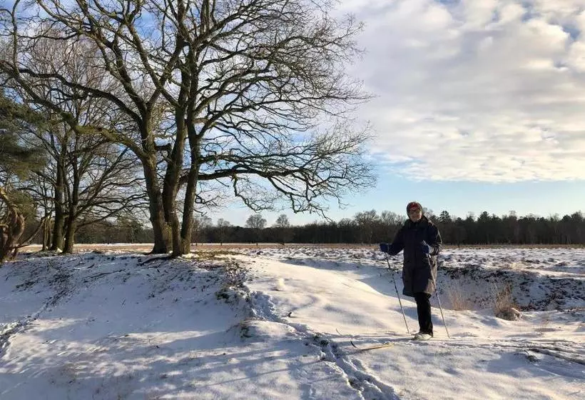 Bed & Breakfast Ter Borg