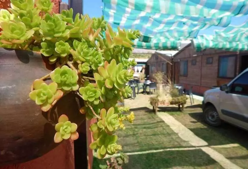 Aamiaismajoitus (B&B) Hostal Del Suri