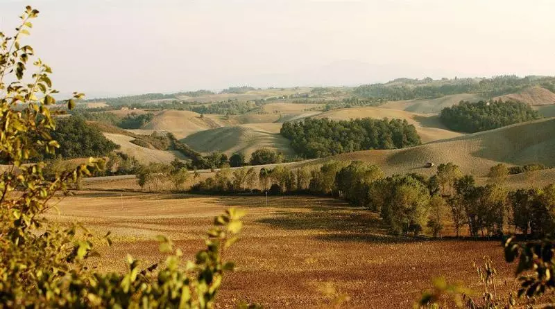 住宿加早餐  Agriturismo Podere Casato