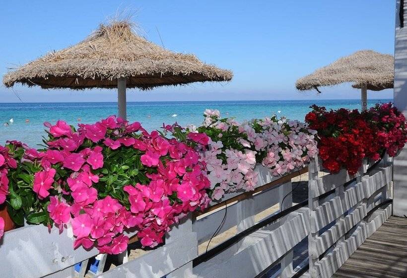 فندق Delfino Beach