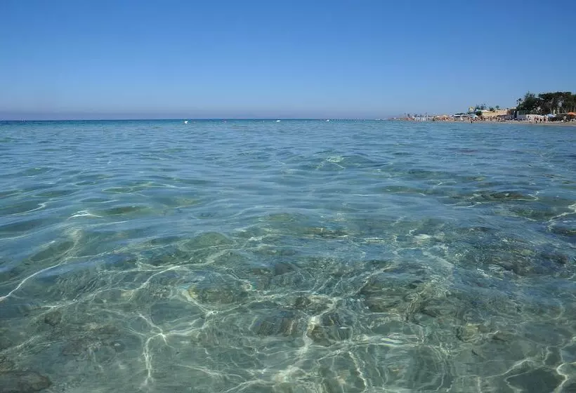 فندق Delfino Beach