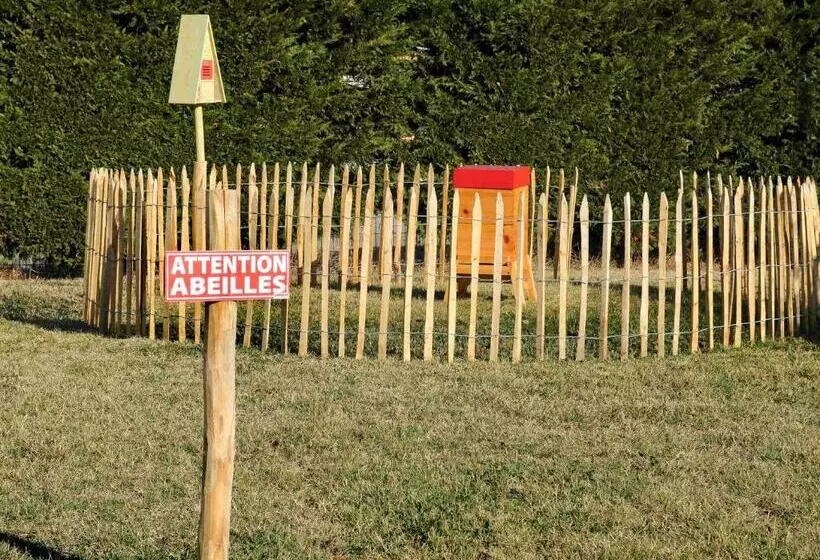 酒店 Mercure Lyon Est Chaponnay